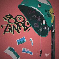 Cover of Sozinho