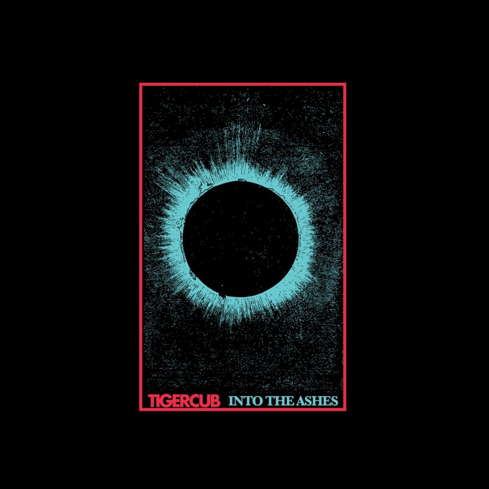 Picture of Into the Ashes