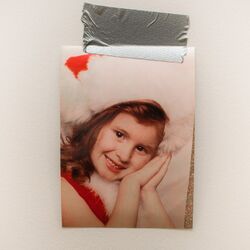 Cover of I Hate the Holidays