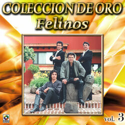Cover of Colección de Oro, Vol. 3