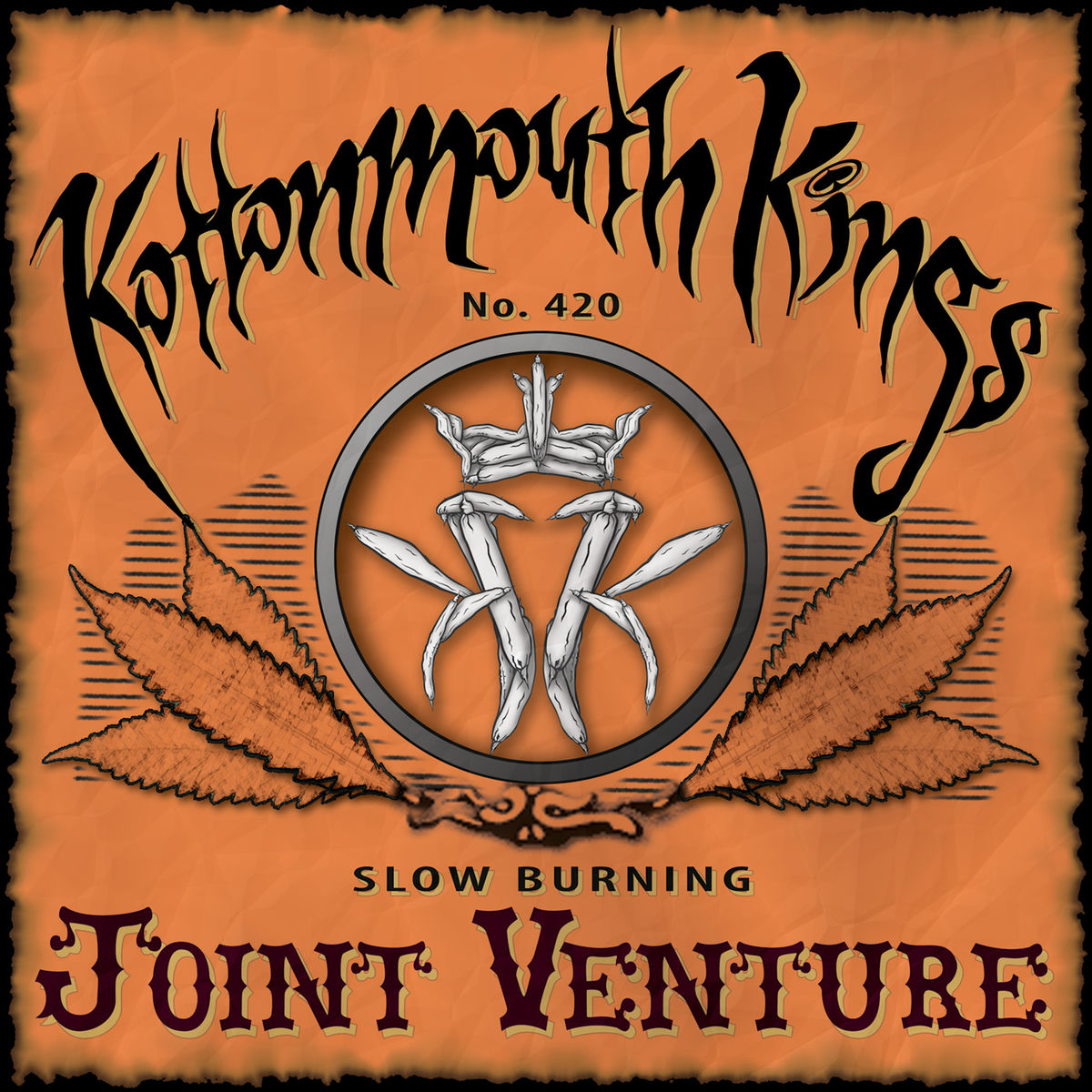 Album cover of Joint Venture