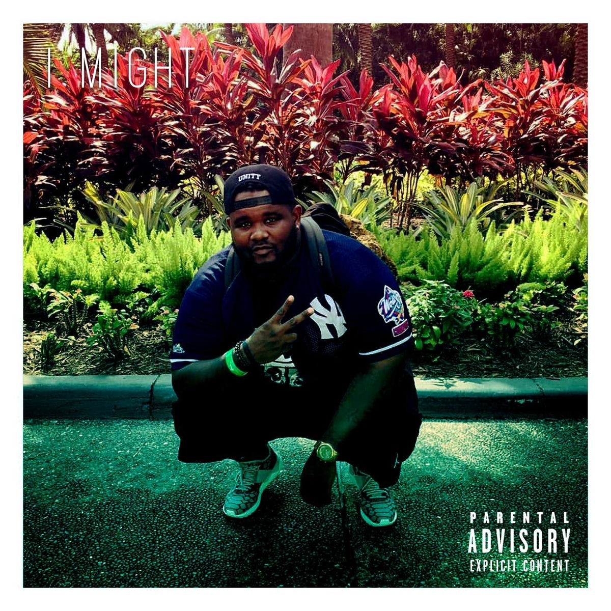Album cover of I Might