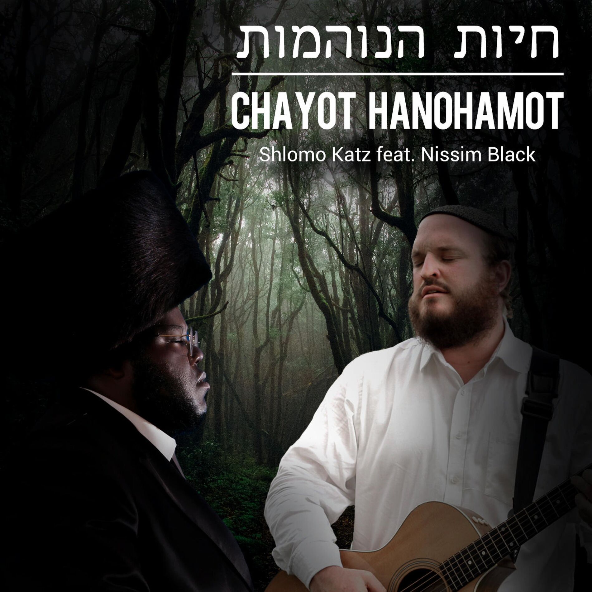 Album cover of Chayot Hanohamot (feat. Nissim Black)