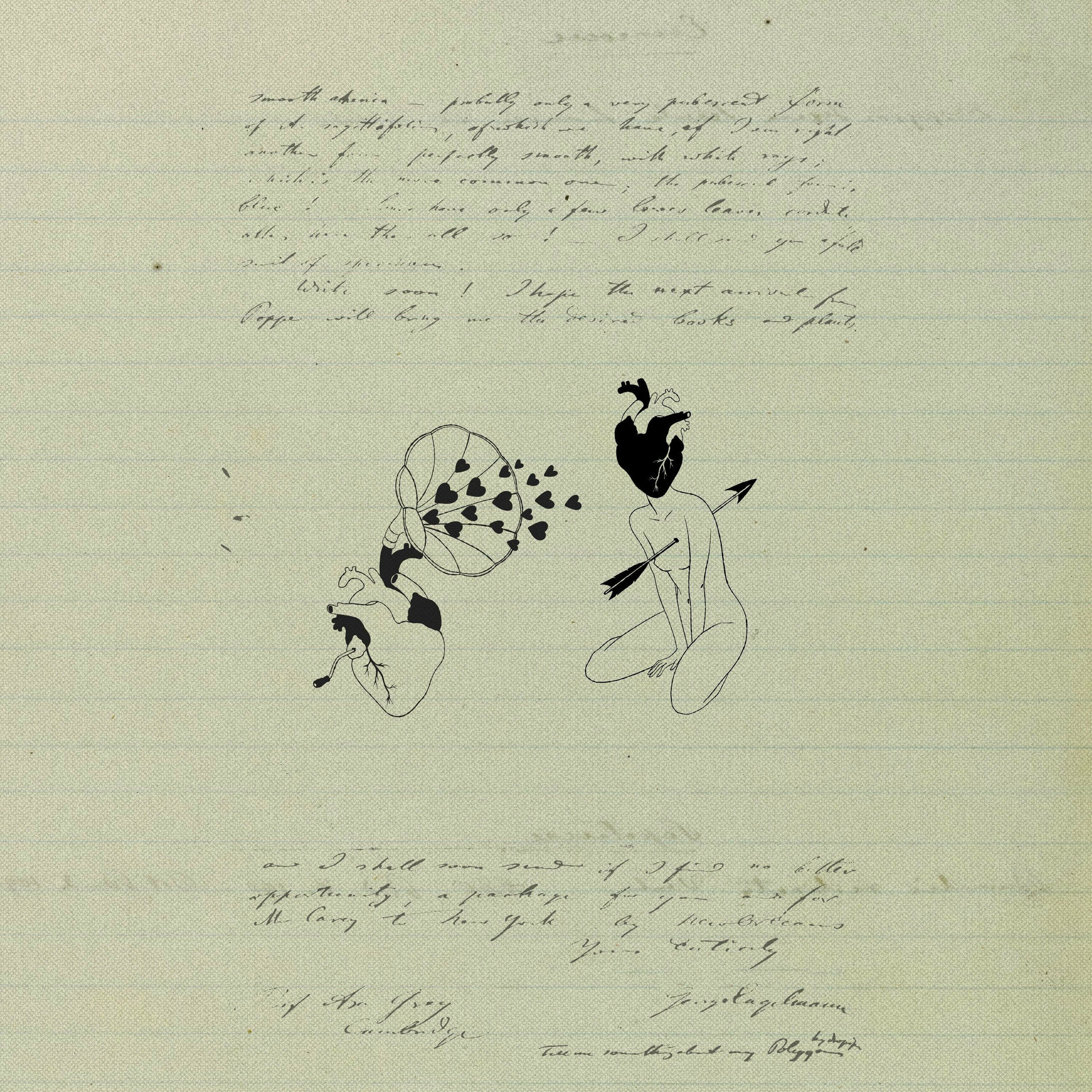 Album cover of Selfish Love