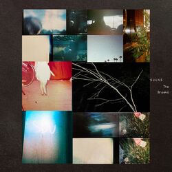 Cover of The Breaks