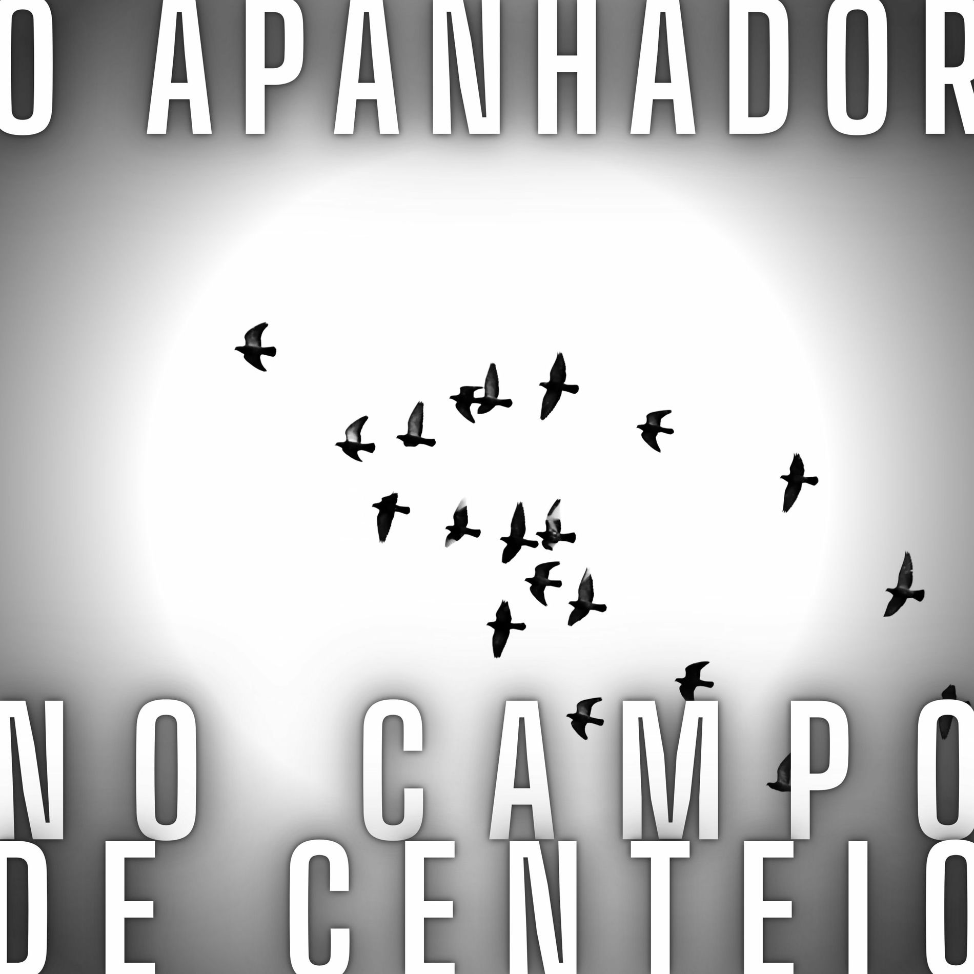 Album cover of O Apanhador no Campo de Centeio