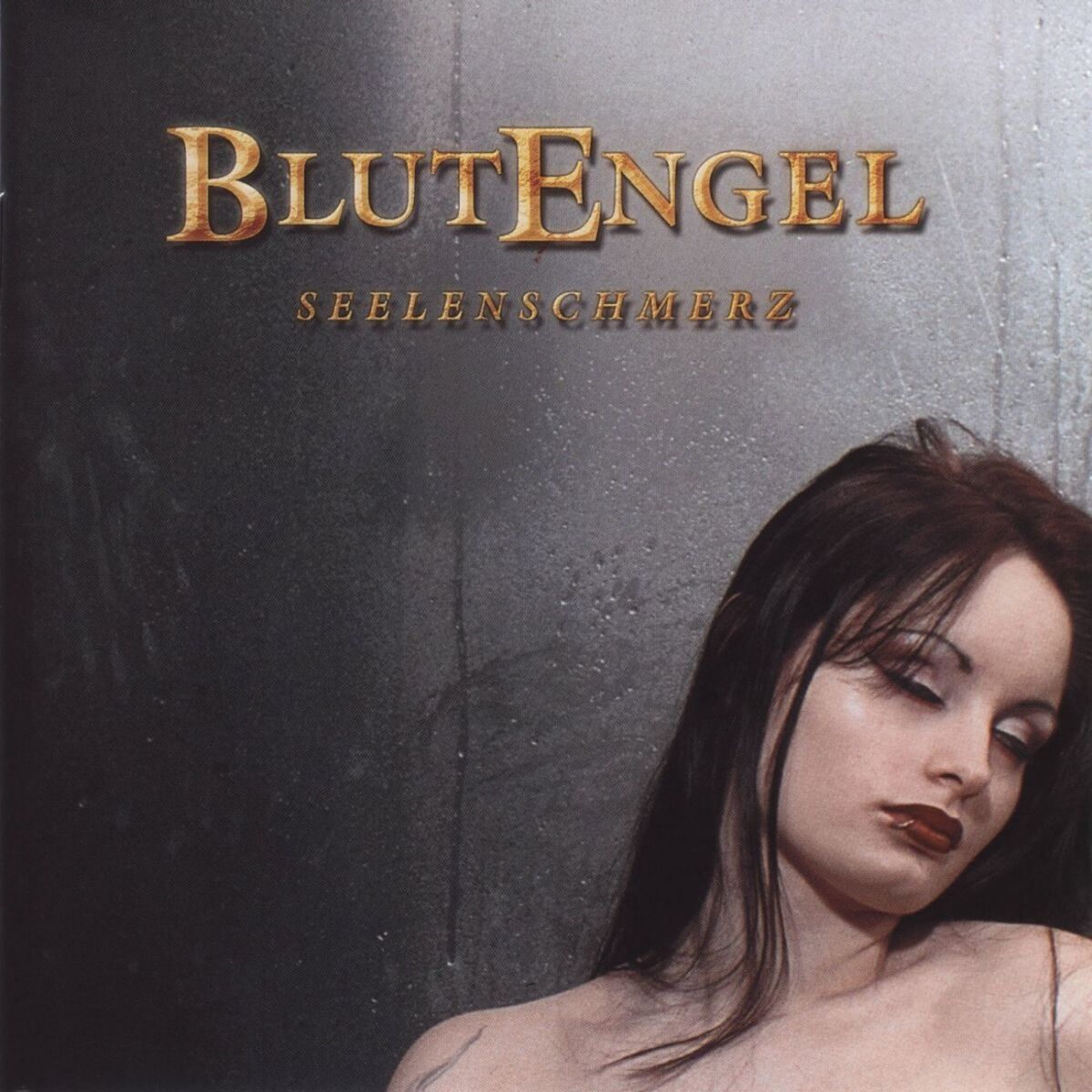 Album cover of Seelenschmerz