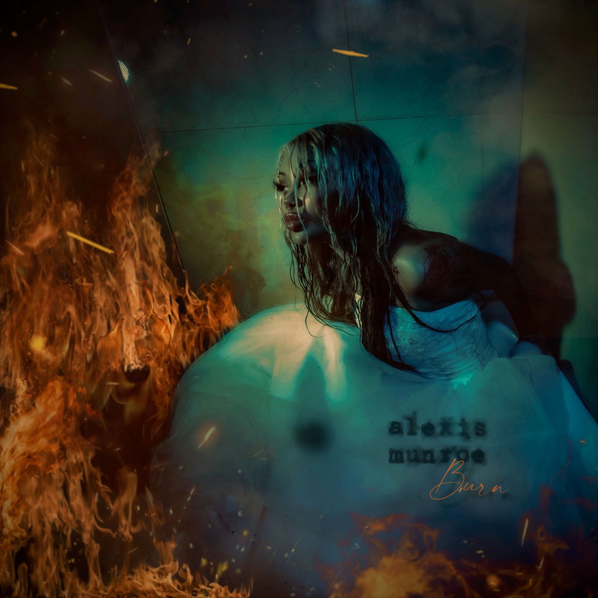 Album cover of Burn