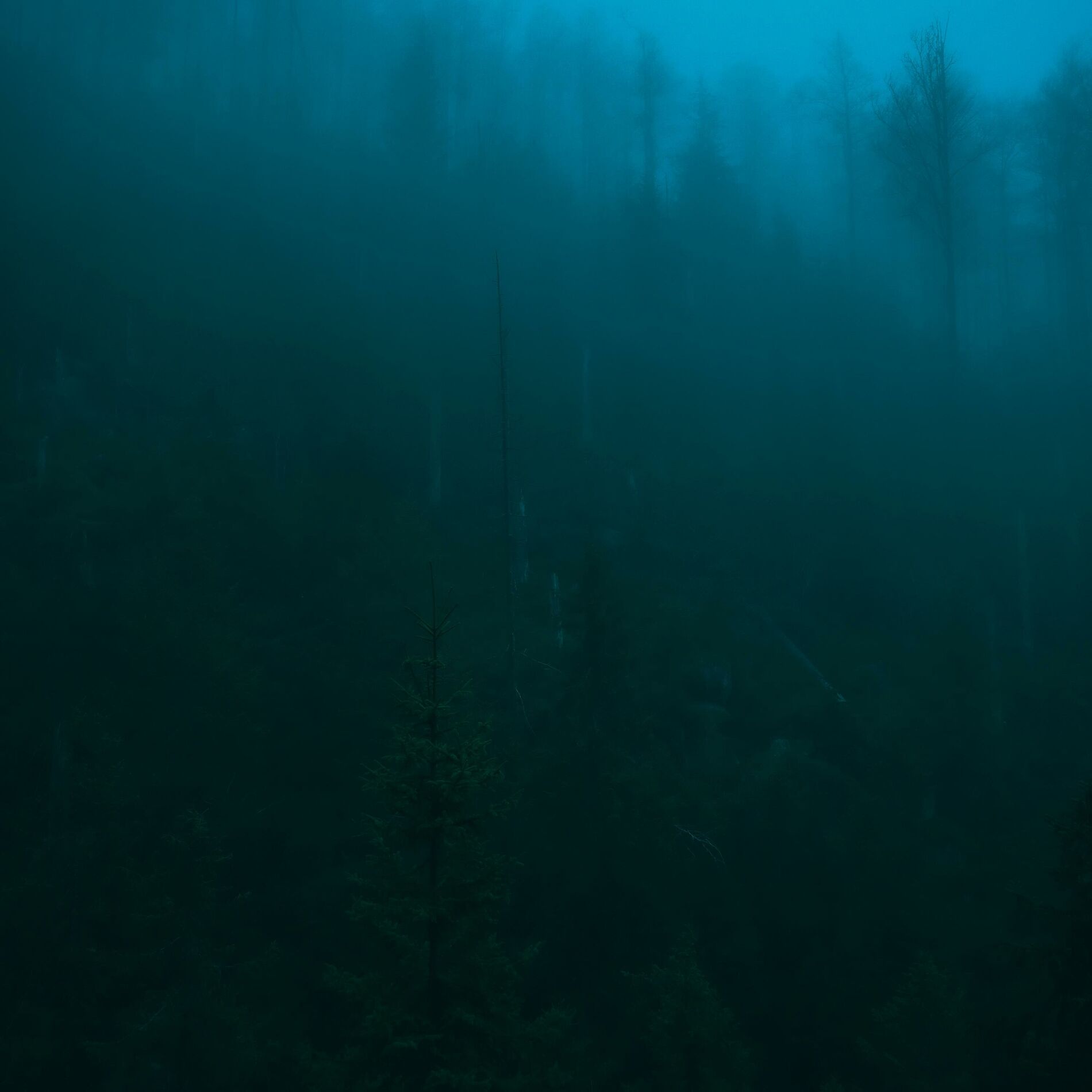 Album cover of The Great Beyond