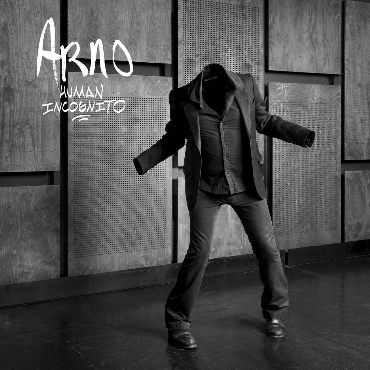 Album cover of Dance Like a Goose