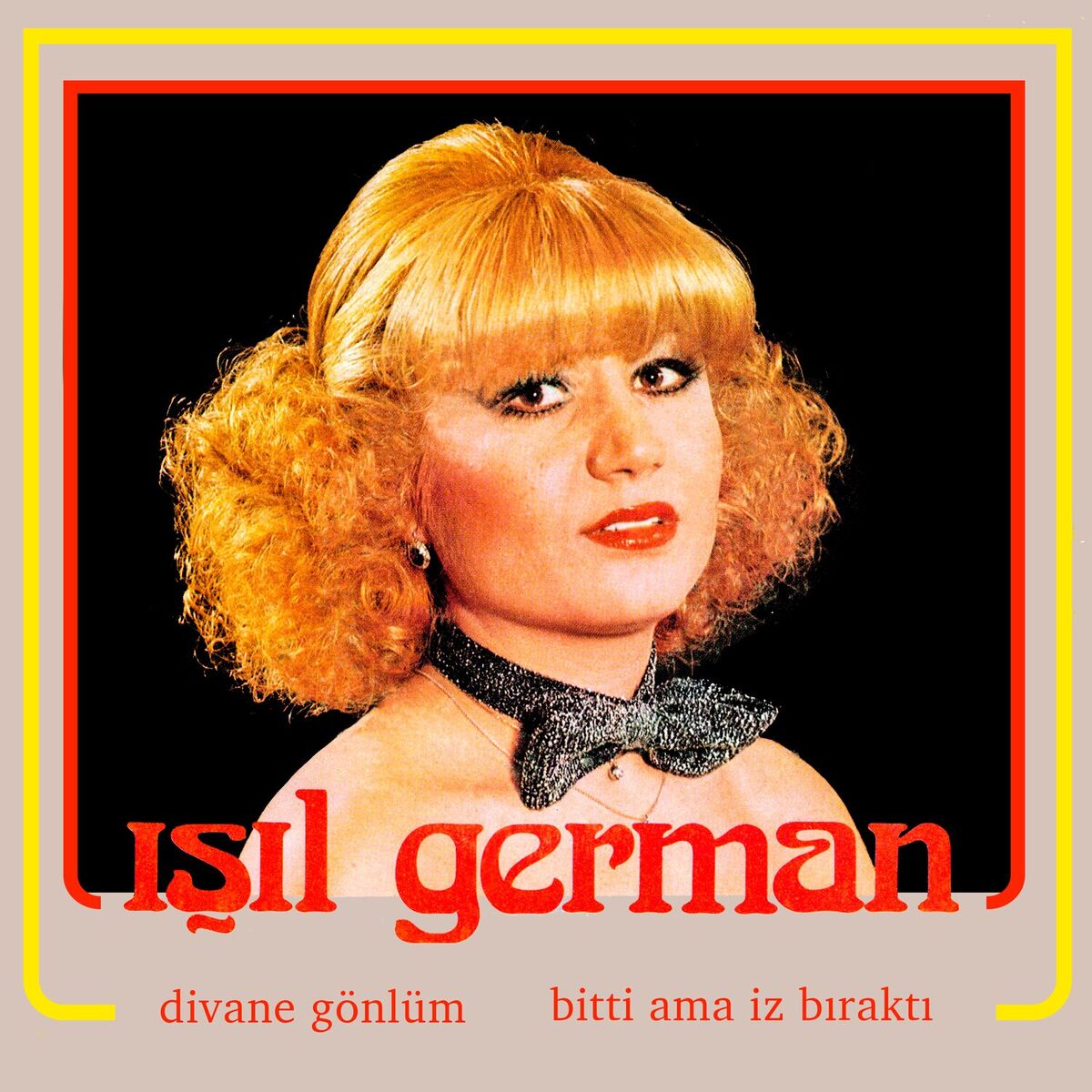 Album cover of Divane Gönlüm / Bitti Ama İz Bıraktı