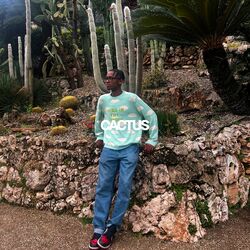Cover of cactus