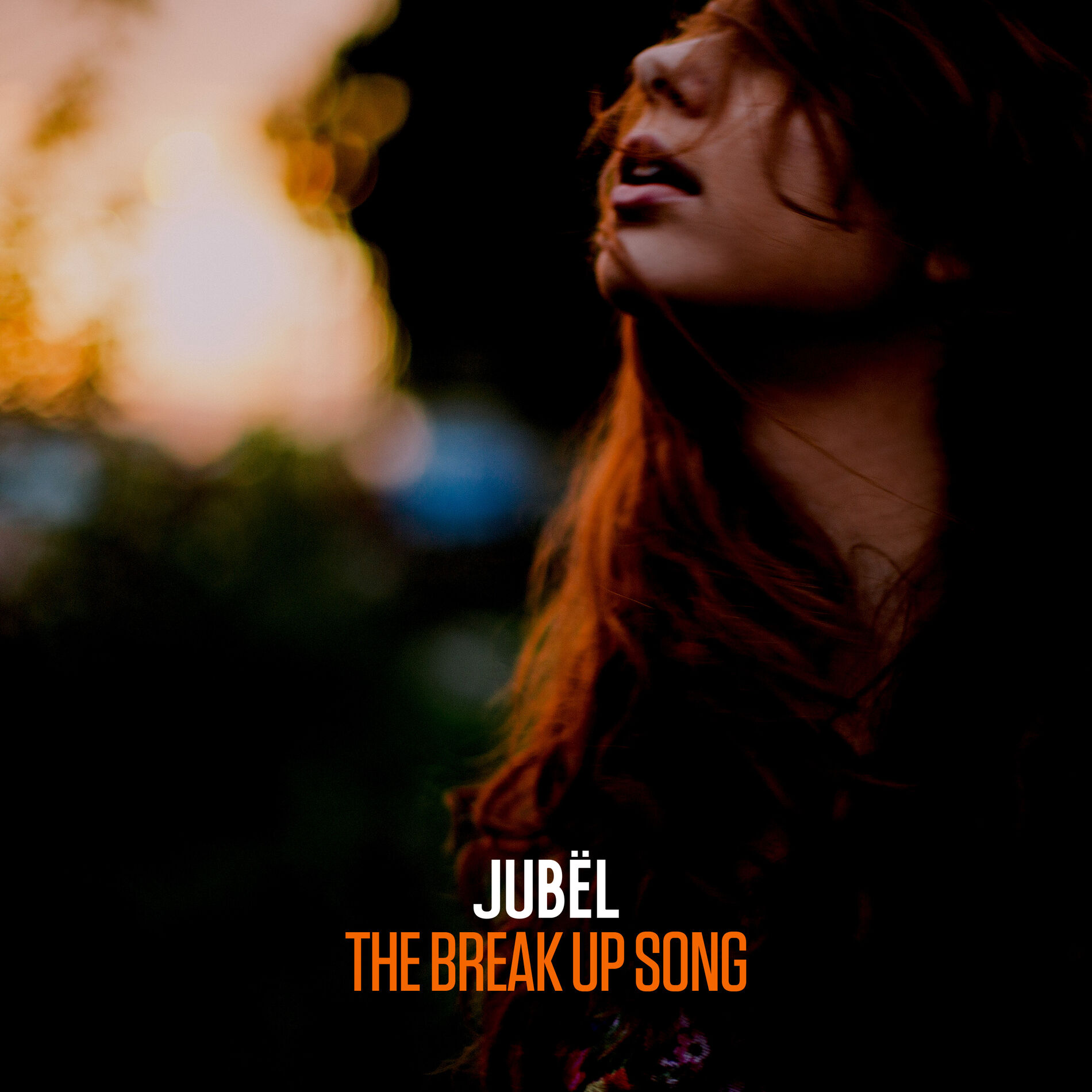 Album cover of The Break Up Song