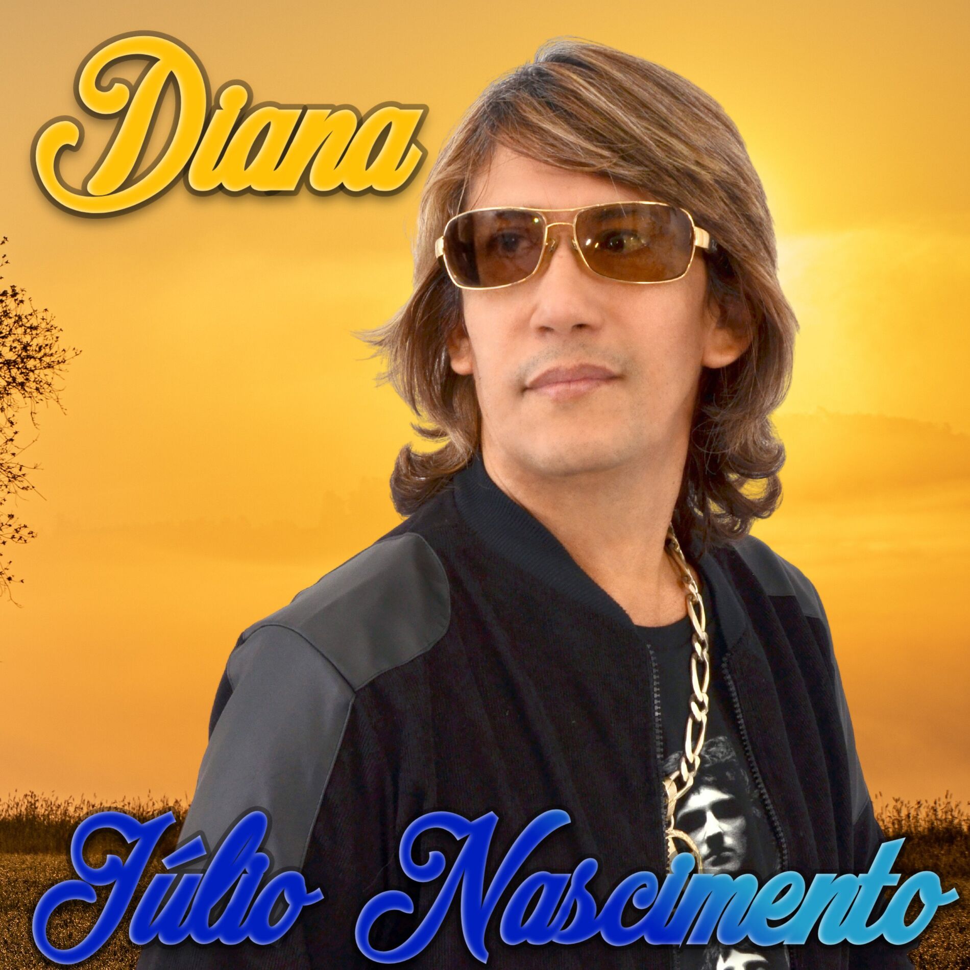 Album cover of Diana
