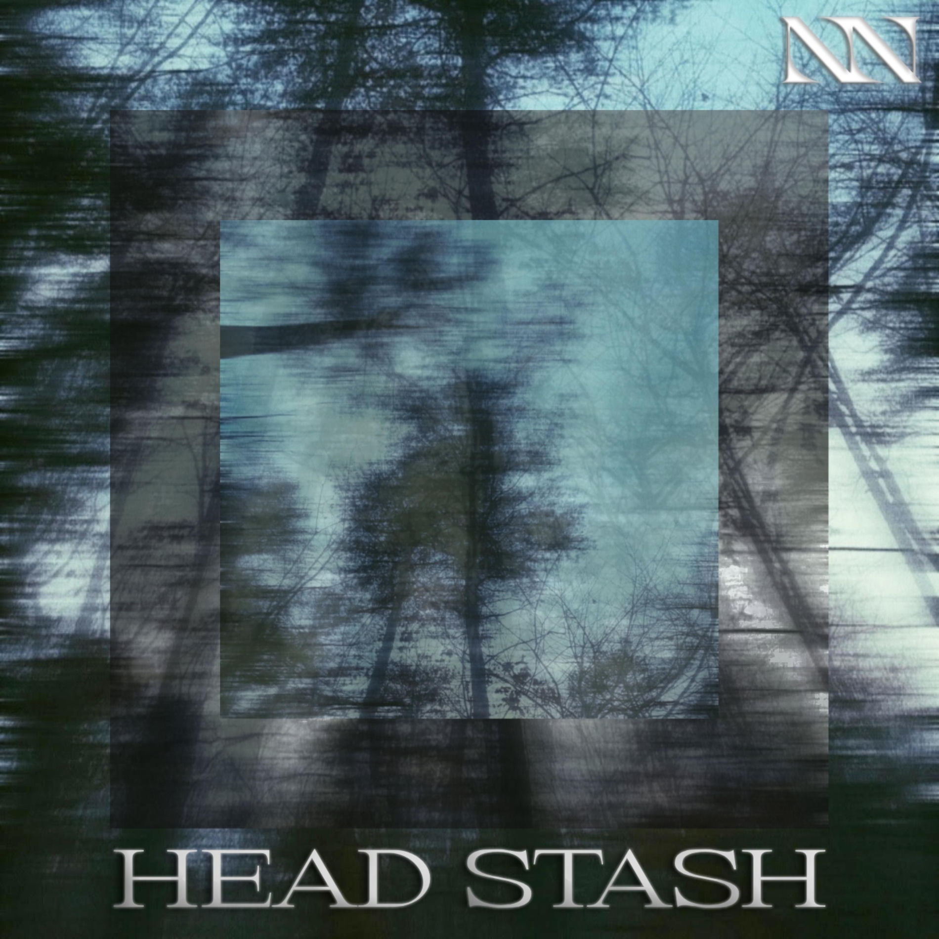 Album cover of Head Stash