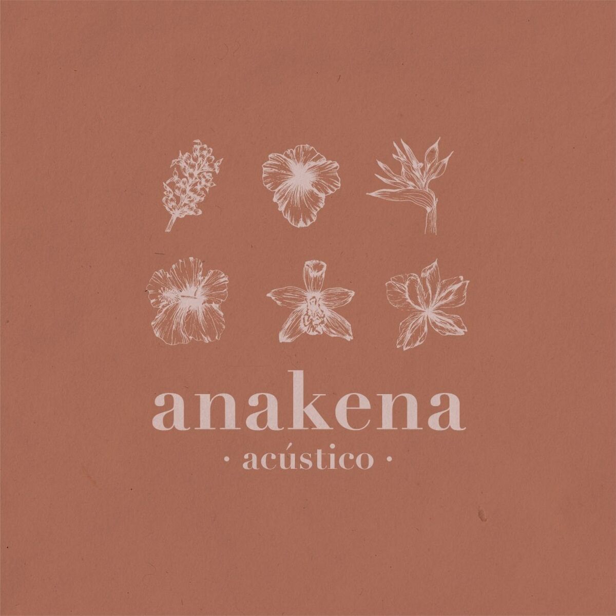 Album cover of Anakena (Acústico)