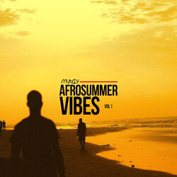 Cover of Afrosummer Vibes, Vol. 1