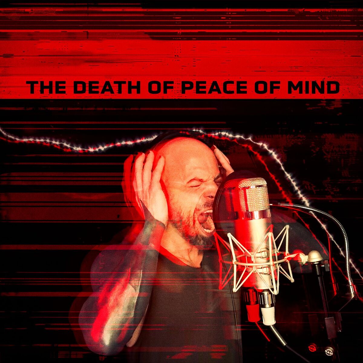 Album cover of THE DEATH OF PEACE OF MIND