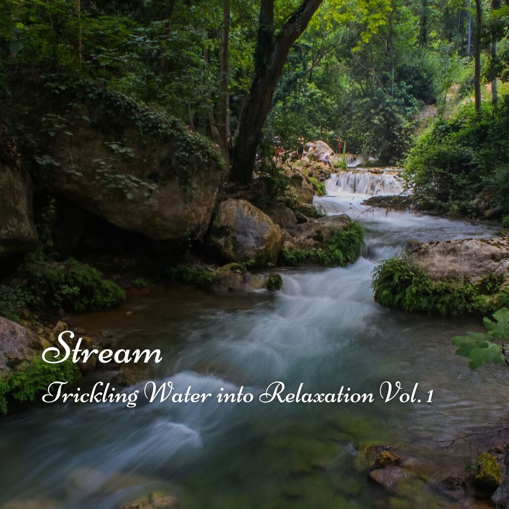 Picture of Stream: Trickling Water into Relaxation Vol. 1