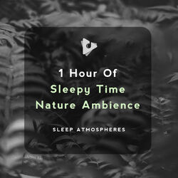 Cover of 1 Hour of Sleepy Time Nature Ambience