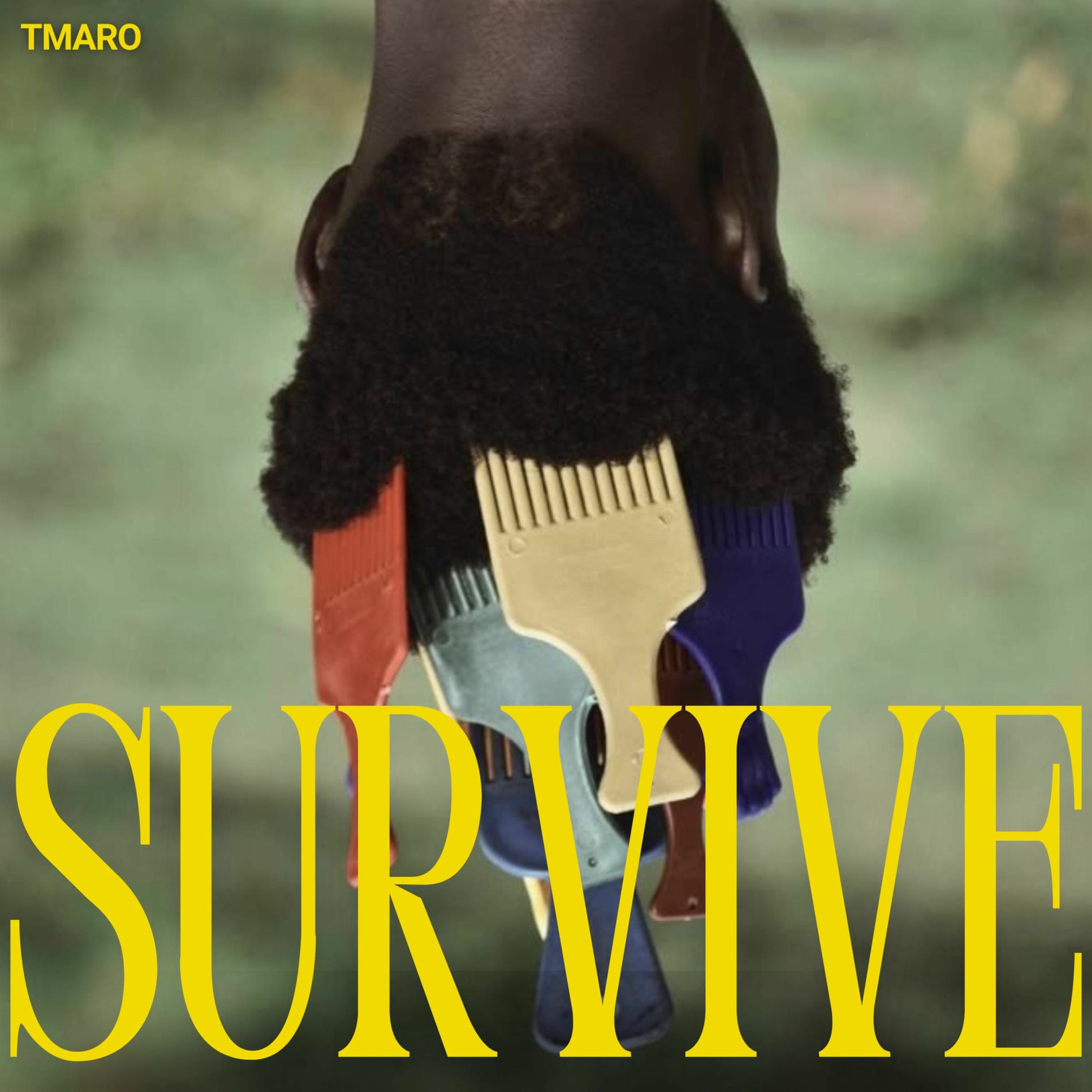 Album cover of Survive