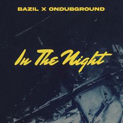 Cover of In The Night