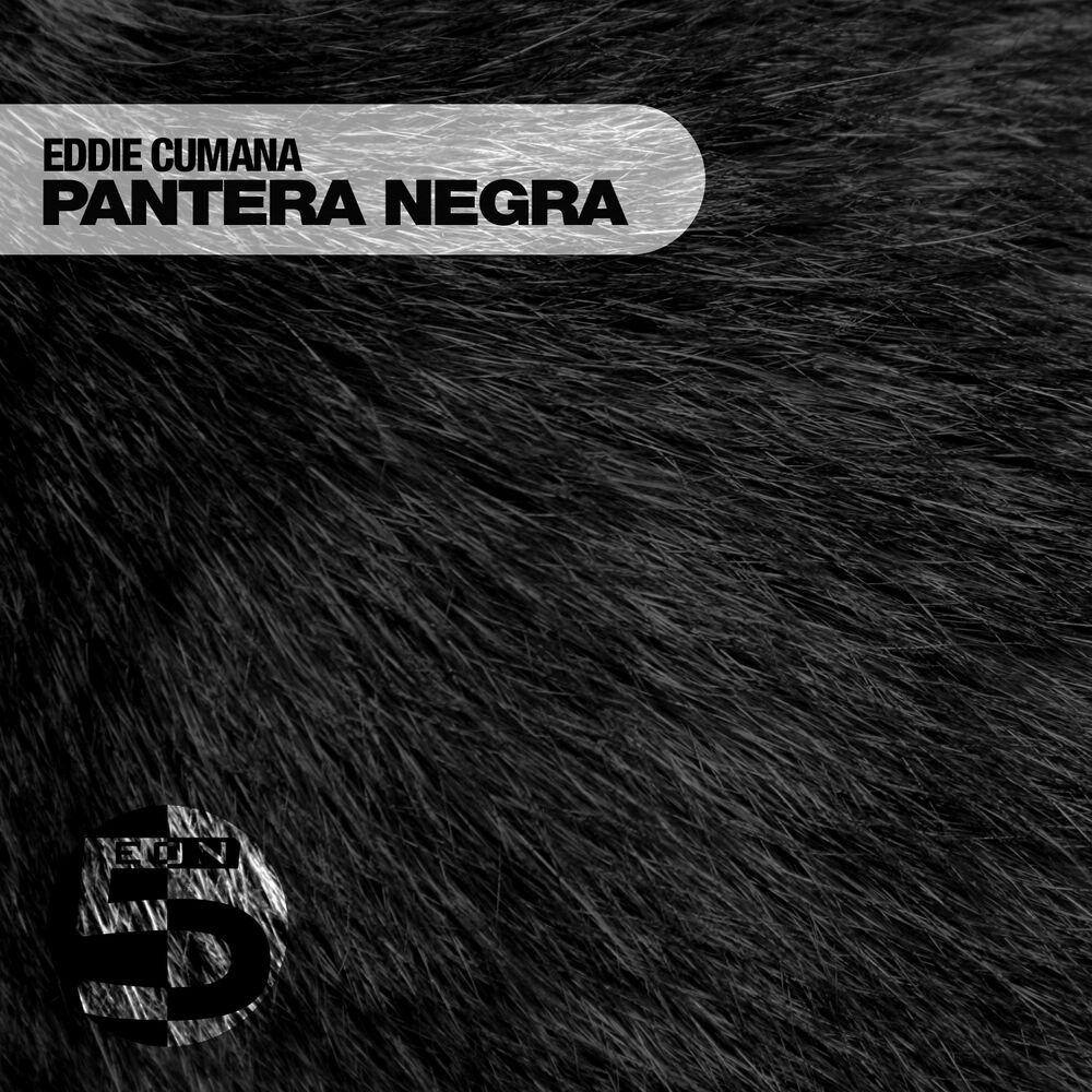Picture of Pantera Negra