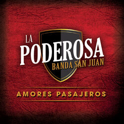 Cover of Amores Pasajeros