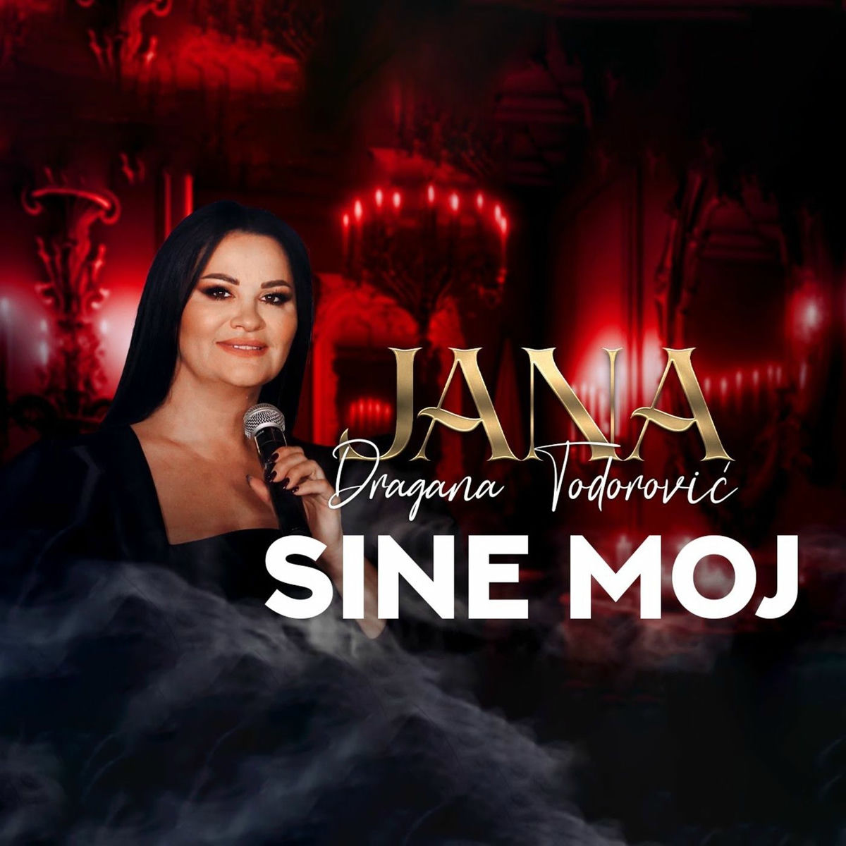 Album cover of Sine moj