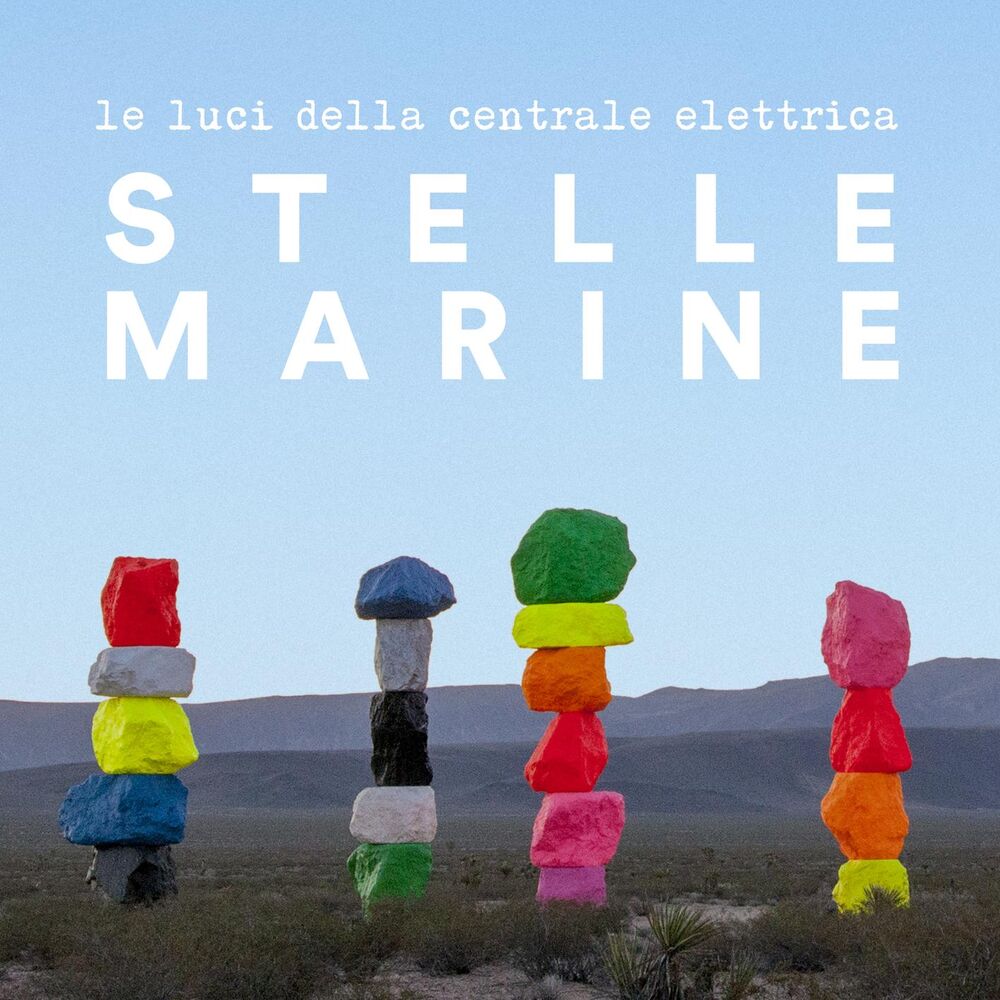 Picture of Stelle marine