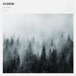 music cover