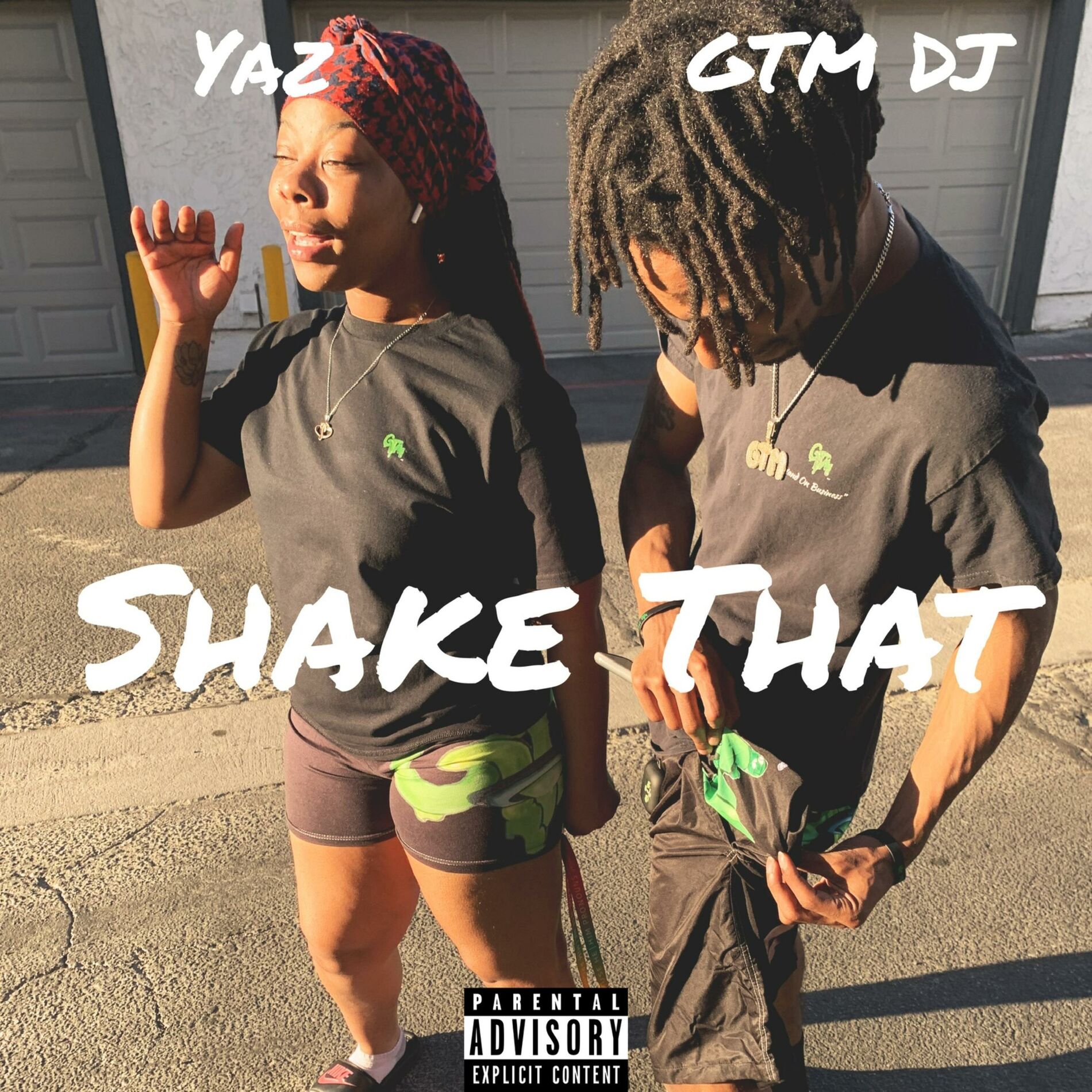 Album cover of Shake That