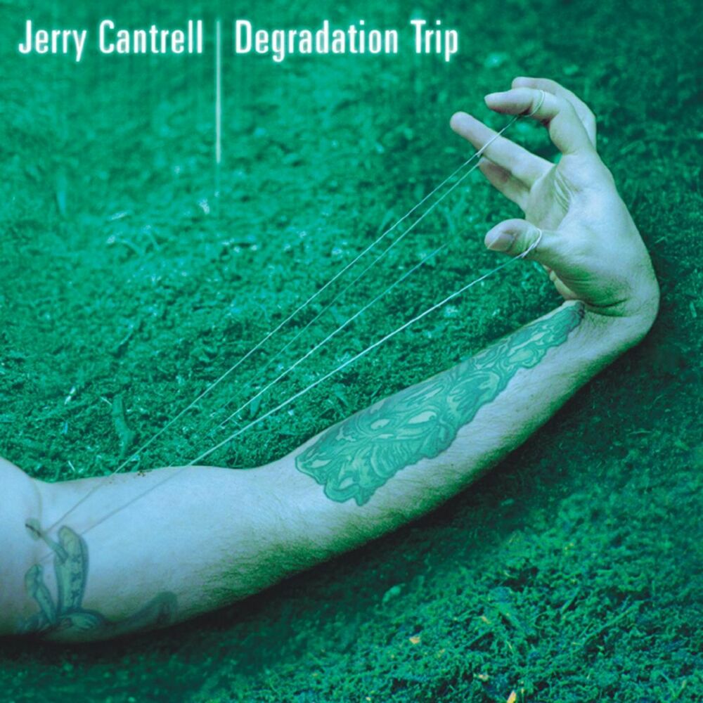 Picture of Degradation Trip