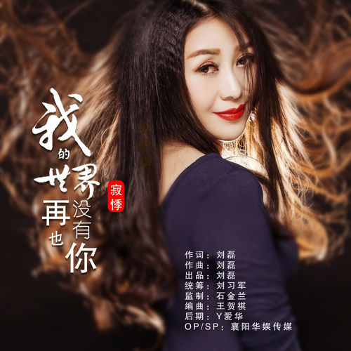 我的世界再也没有你
