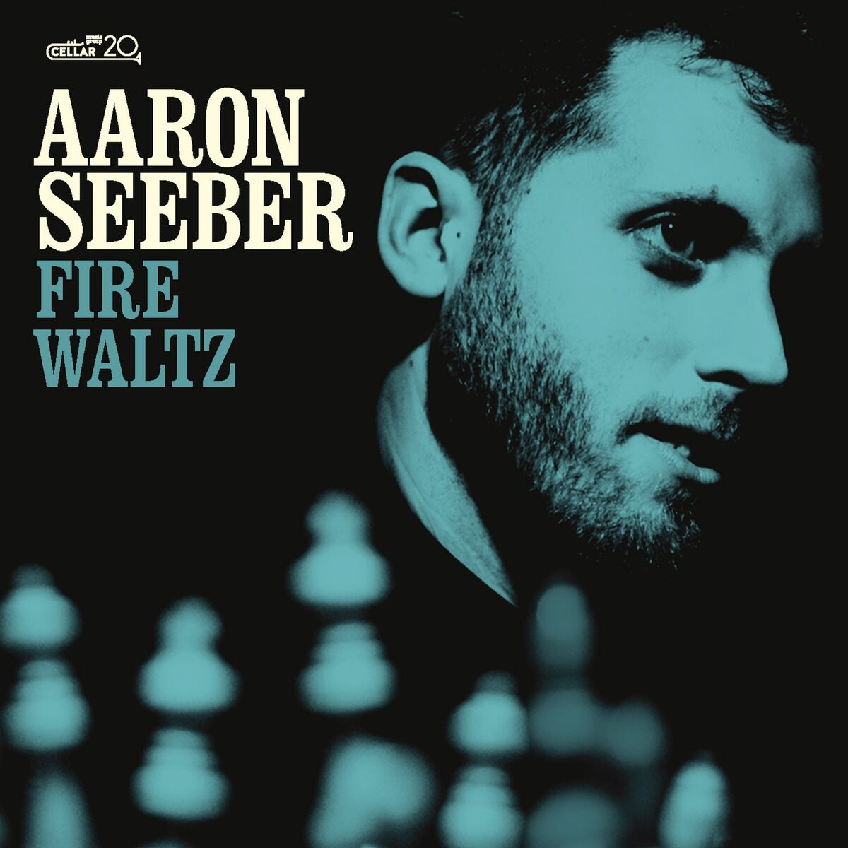 Album cover of Fire Waltz