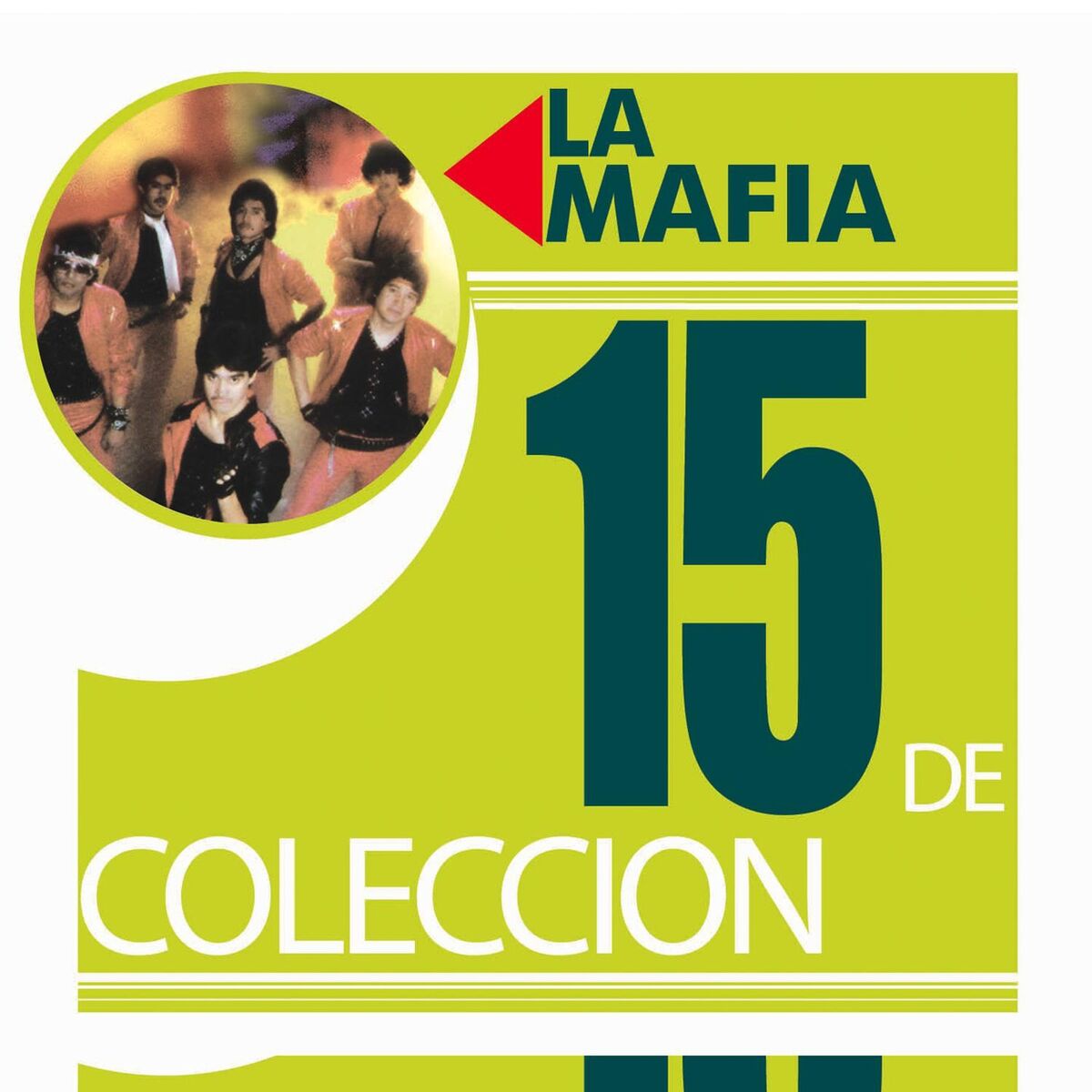 Album cover of 15 De Coleccion
