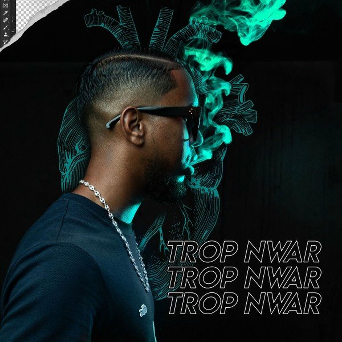 Album cover of Trop Nwar