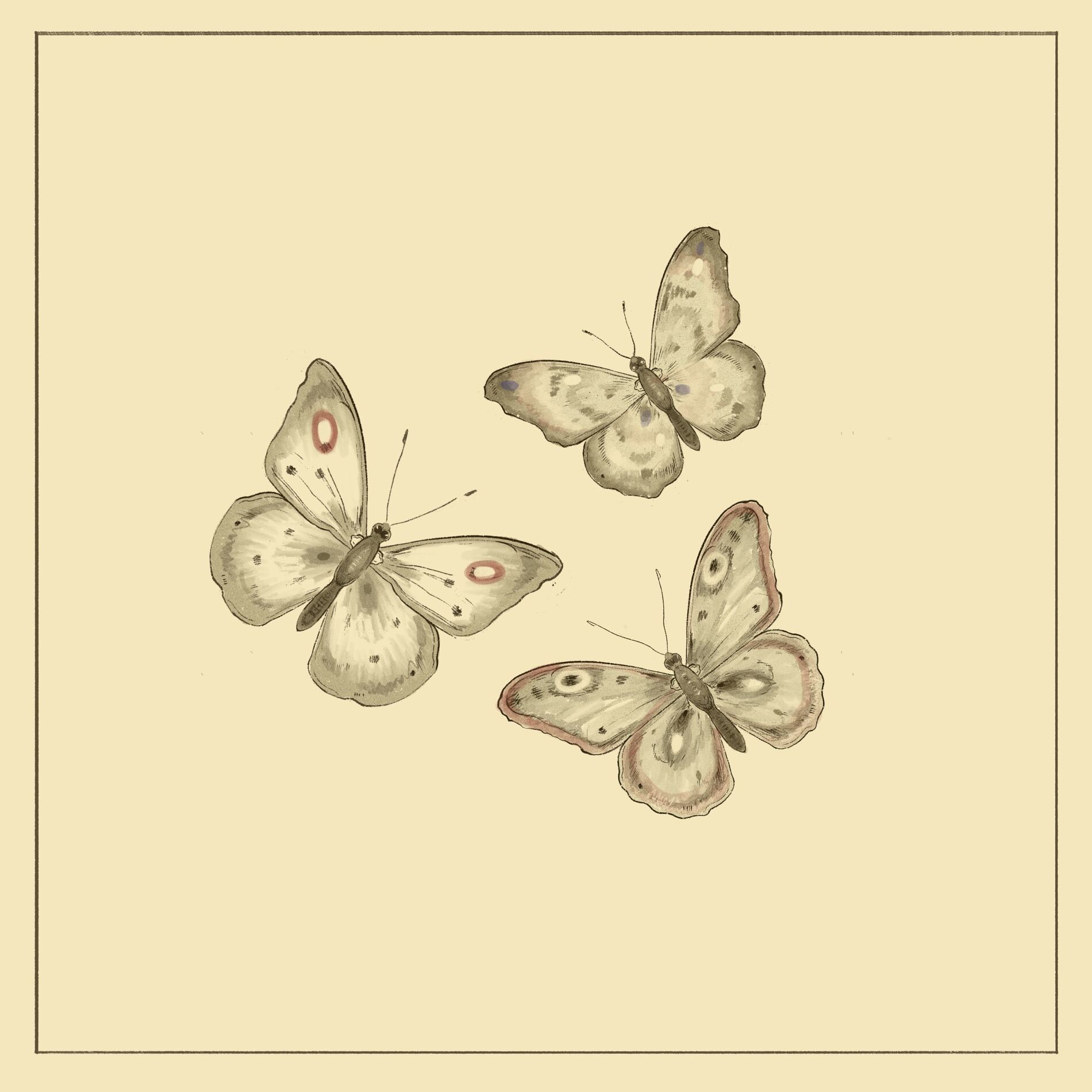 Album cover of butterfly waltz
