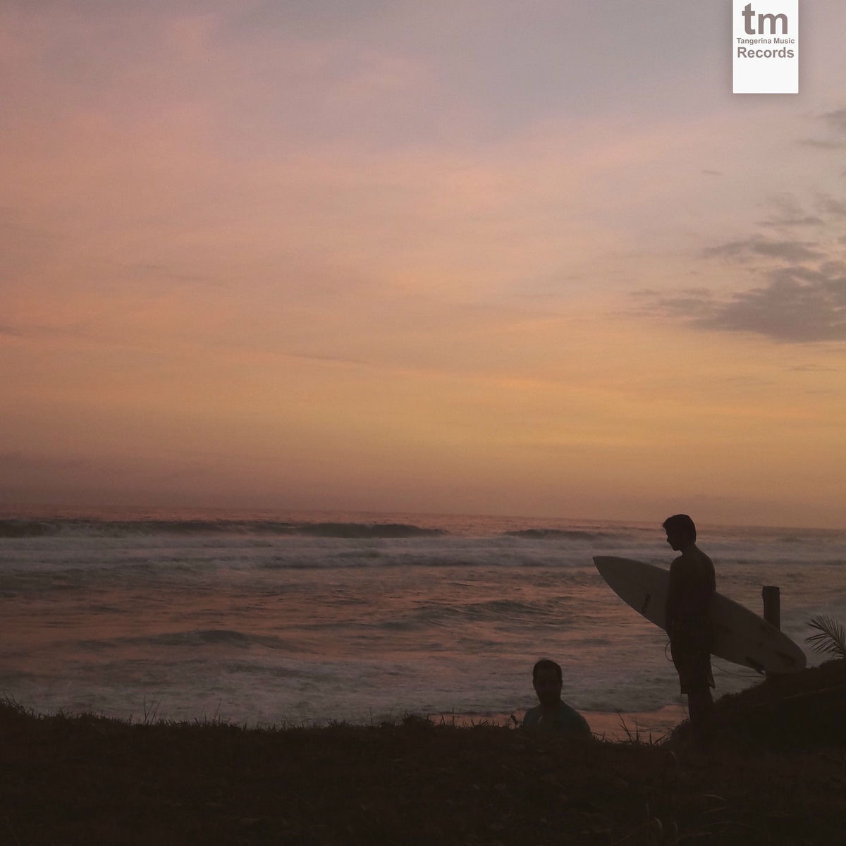 Album cover of Ipanema
