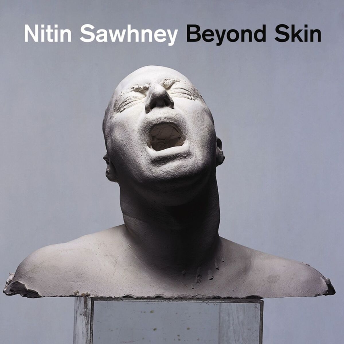 Album cover of Broken Skin