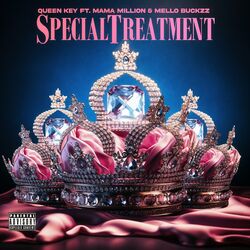 Cover of Special Treatment (Remix)