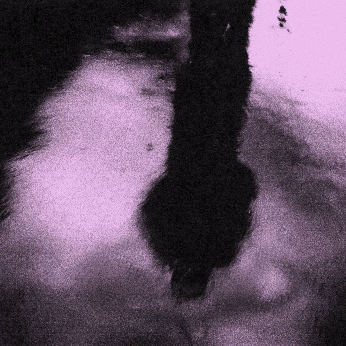 Album cover of Tour du Monde