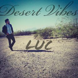 Cover of Desert Vibes