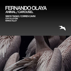 Cover of Animal / Carousel