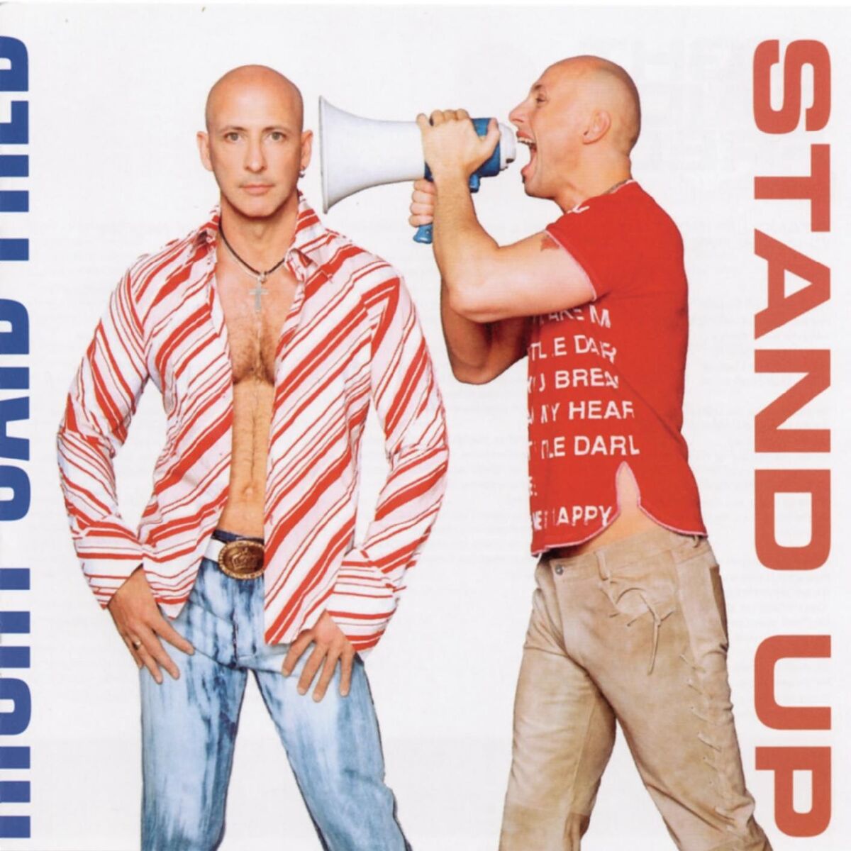 Album cover of Stand Up (For The Champions)
