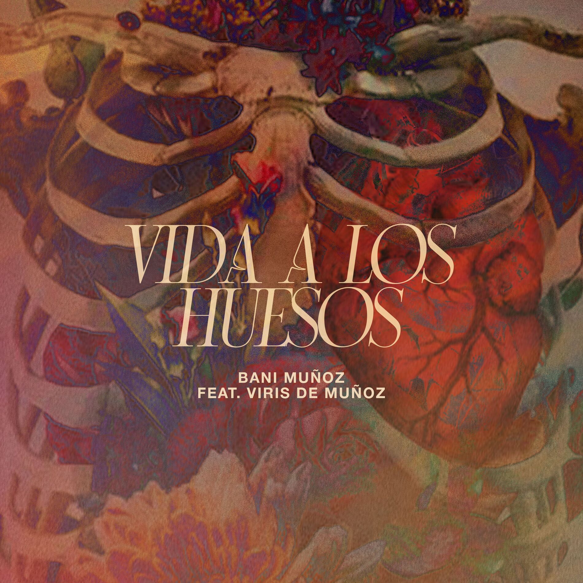 Album cover of Vida a los Huesos