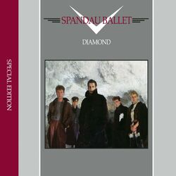 Cover of Diamond (Special Edition)
