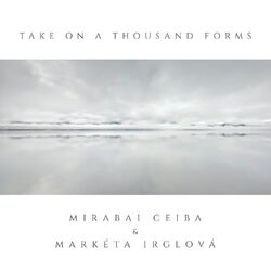 Cover of Take On A Thousand Forms