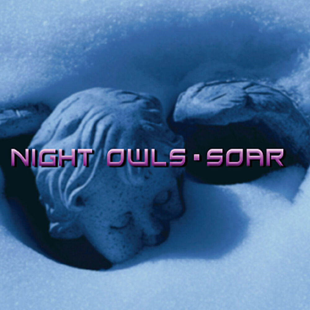 Picture of Soar