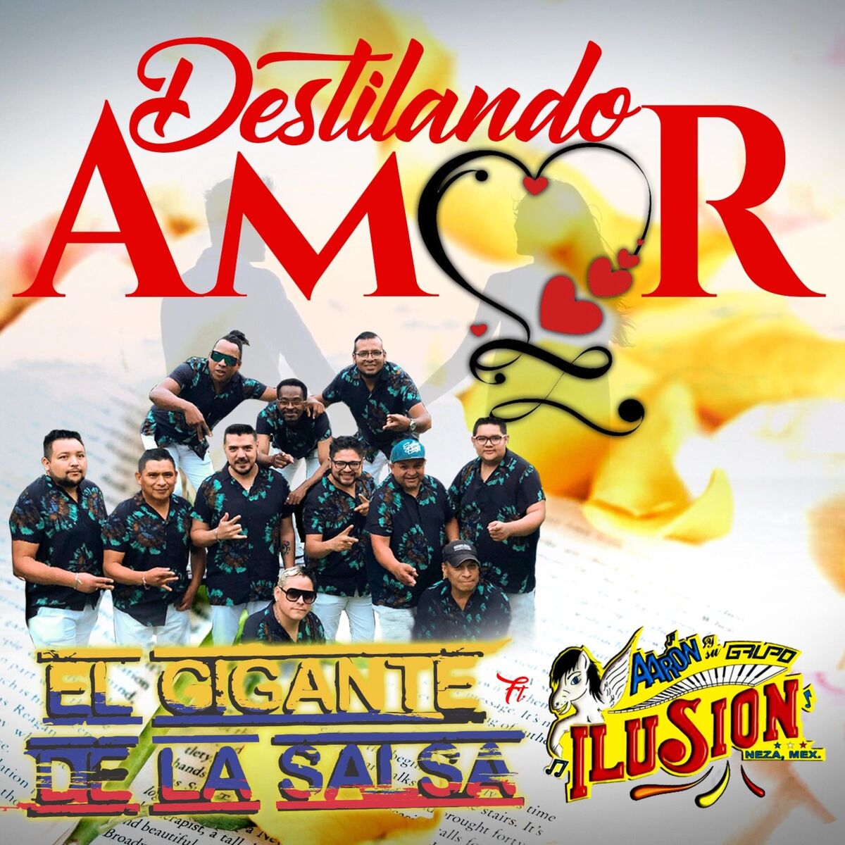 Album cover of Destilando Amor